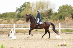SBM_006885