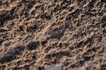 231101A-125920-00310