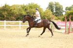 SBM_002321