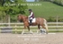 BPP_5585