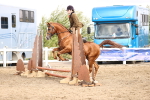 SBM_02906