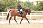 SBM_007427