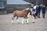 SBM_006195