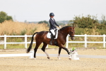 SBM_002586