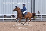 BPP_6153