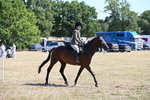 WJ6_8353
