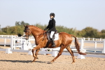 SBM_01633