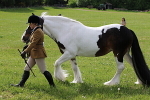 SIAL2631