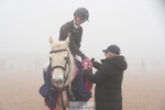 Cls 36 Academy Individual Pony 65cm portfolio