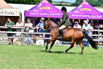 SBM_08013