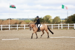 SBM_009072