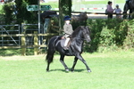 SBM_50345