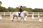 SBM_000979