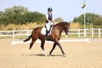 SBM_009381