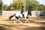 SBM_18468