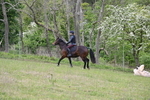 WJ6_2085