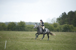 BVHT 140517  NXC -440