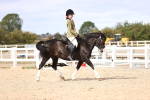SBM_14240
