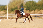 SBM_017539