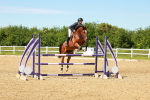 SBM_002629