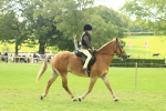 SBM_62495