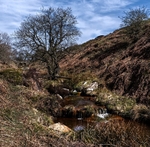 Moorland Beck.