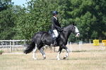 WJ7_0957