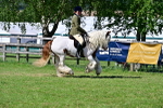 SBM_19358