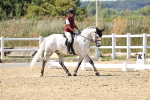SBM_003354