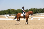 SBM_004984
