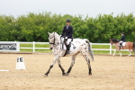 SBM_005905