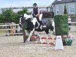 BPP_1558