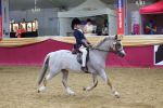 SBM_24226