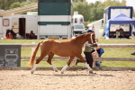 SBM_04570