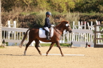 SBM_009186