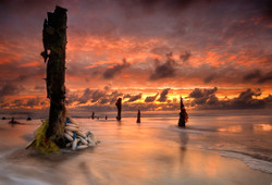 Flotsam