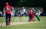 T20 Cricket_Guernsey v Jersey 2019-11