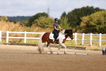 SBM_009286
