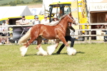 SBM_08557