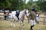 WJ6_3857