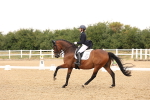 SBM_006376