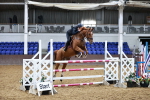SBM_001923