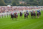 230825-Race 2-Tarriance-9979