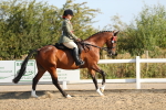 SBM_01260