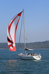190825 PELOGISA - OCEANIS 361 1Y3A2451