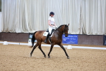 SBM_001627
