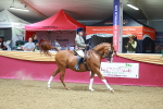 SBM_06380