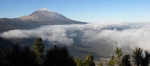 Tenerife mountain trees and cloud