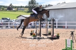 BPP_9101