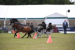 Class 90 - Scurry 122cm and Under portfolio